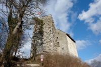 Habsburg Castle - 